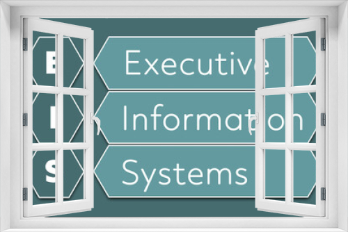 EIS Executive Information Systems. An Acronym Abbreviation of a financial term. Illustration isolated on cyan blue green background