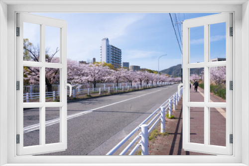 Fototapeta Naklejka Na Ścianę Okno 3D - 妙法寺川の桜並木
