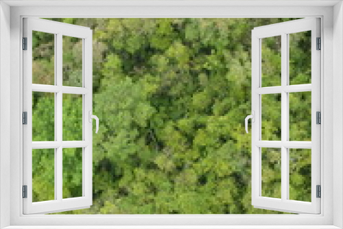 Fototapeta Naklejka Na Ścianę Okno 3D - bright green view of the jungle rain forest canopy in Toledo District, Southern Belize, Central America with tree tops in lush green taken from a light aircraft