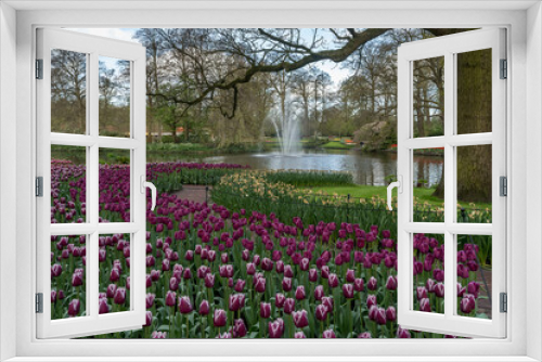 Fototapeta Naklejka Na Ścianę Okno 3D - Jardin botanique aux tulipes de Keukenhof , à Lisse aux Pays-Bas	