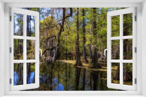 Fototapeta Naklejka Na Ścianę Okno 3D - Nature in Cypress Gardens in Moncks Corner, Sourth Carolina, USA