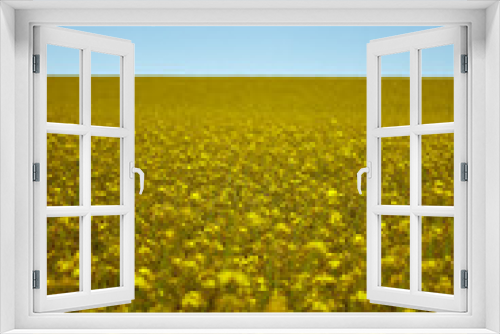 Fototapeta Naklejka Na Ścianę Okno 3D - rapeseed field as background, blue and cloudy sky