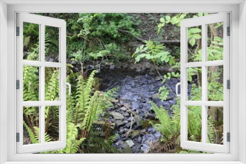 Fototapeta Naklejka Na Ścianę Okno 3D - Beautiful brook in a quiet woodland