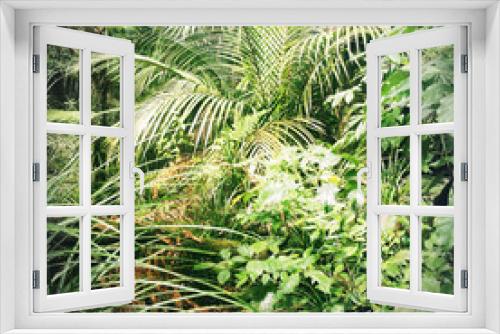 Fototapeta Naklejka Na Ścianę Okno 3D - Jungle