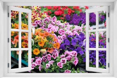 Fototapeta Naklejka Na Ścianę Okno 3D - Blumenangebot auf einen Wochenmarkt