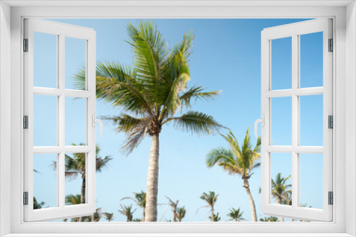 Fototapeta Naklejka Na Ścianę Okno 3D - Palms against blue sky