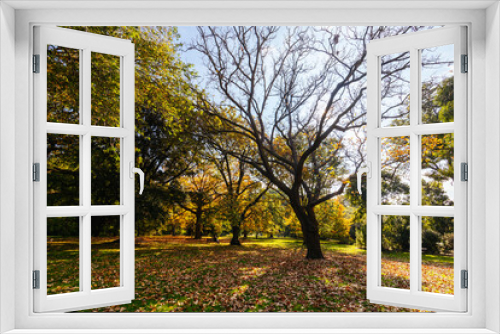Fototapeta Naklejka Na Ścianę Okno 3D - Royal Botanic Gardens in Melbourne Australia