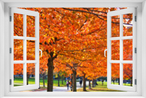 Fototapeta Naklejka Na Ścianę Okno 3D - Boston Public Garden