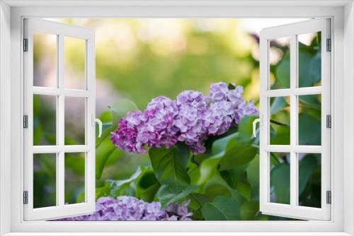 Fototapeta Naklejka Na Ścianę Okno 3D - lilac in the garden