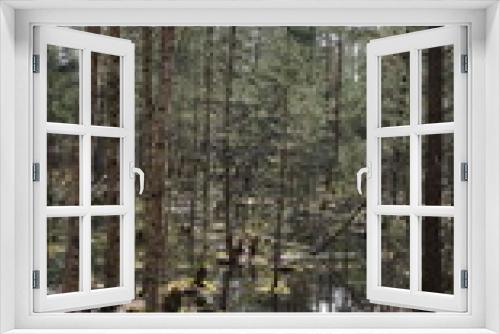 Fototapeta Naklejka Na Ścianę Okno 3D - spring forest