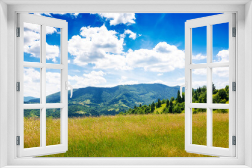 Fototapeta Naklejka Na Ścianę Okno 3D - rural landscape of ukrainian highlands with grassy alpine meadows. countryside scenery of carpathian mountains on a warm sunny day under the blue sky with fluffy clouds