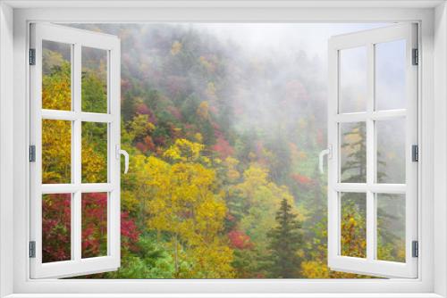 Fototapeta Naklejka Na Ścianę Okno 3D - 霧湧く紅葉の高原