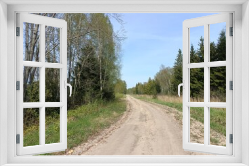 Fototapeta Naklejka Na Ścianę Okno 3D - Road in forest in Siauliai county during sunny summer day. Oak and birch tree woodland. Sunny day with white clouds in blue sky. Bushes are growing in woods. Sandy road. Nature. Miskas.