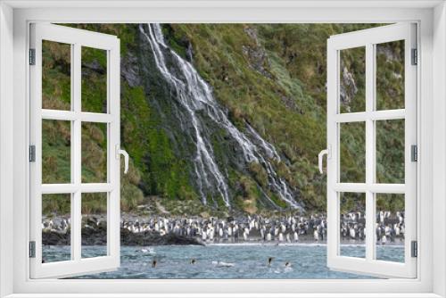 Fototapeta Naklejka Na Ścianę Okno 3D - King Penguins in South Georgia 