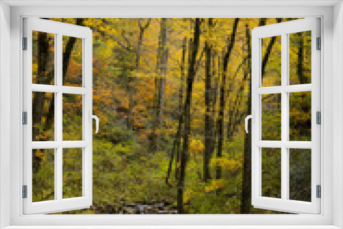 Fototapeta Naklejka Na Ścianę Okno 3D - Autumn woods in the mountains