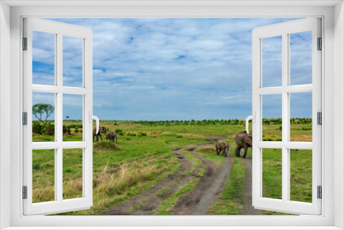 Fototapeta Naklejka Na Ścianę Okno 3D - Elephant family is walking in the savannah in Kenya, on safari