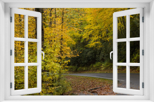 Fototapeta Naklejka Na Ścianę Okno 3D - Road through the Autumn Woods
