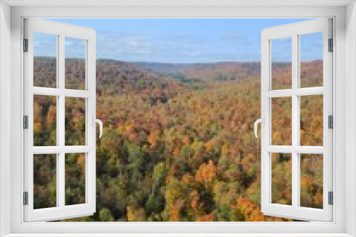 Fototapeta Naklejka Na Ścianę Okno 3D - Fall foliage 