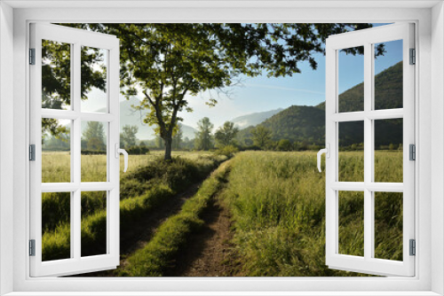 Fototapeta Naklejka Na Ścianę Okno 3D - rural panorama between wheat fields