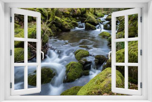Fototapeta Naklejka Na Ścianę Okno 3D - Wild stream in old woodland,time lapse water motion