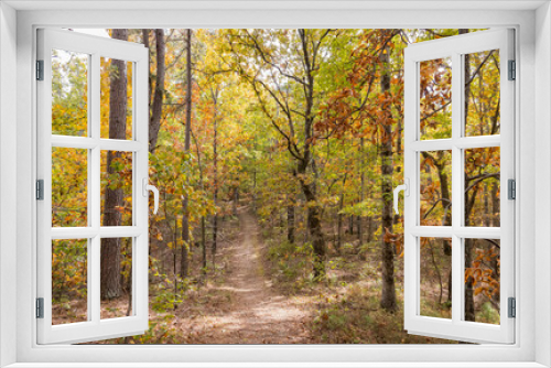 Fototapeta Naklejka Na Ścianę Okno 3D - Sunny view of the beautiful fall color of Hobbs State Park-Conservation Area