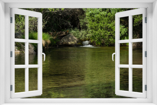 Fototapeta Naklejka Na Ścianę Okno 3D - landscape, view, nature, plants, water, stream, mountain, flora,