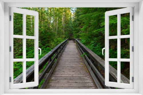 Fototapeta Naklejka Na Ścianę Okno 3D - Boardwalk path in Chun T’oh Whudujut Ancient Forest provincial park, Lheidli T’enneh first nations natives, Prince George, British Columbia, Canada.