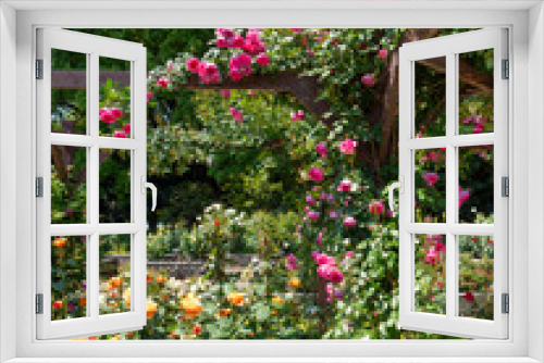 Fototapeta Naklejka Na Ścianę Okno 3D - 色鮮やかなバラ園の風景