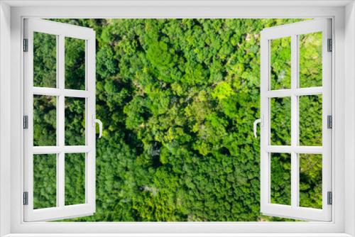 Fototapeta Naklejka Na Ścianę Okno 3D - Aerial view Drone camera top view rainforest trees ecology with healthy environment concept and summer background,Green environment background