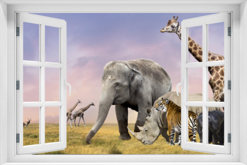 Fototapeta Naklejka Na Ścianę Okno 3D - Savanna wild animals collage