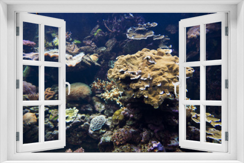Fototapeta Naklejka Na Ścianę Okno 3D - undersea world