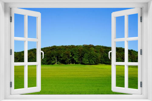 Fototapeta Naklejka Na Ścianę Okno 3D - Grünes Landschaft Panorama mit Wiese, Feld und Wald vor blauem Himmel bei Sonne am Morgen im Frühling