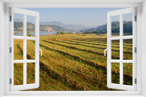 Fototapeta Naklejka Na Ścianę Okno 3D - beautiful green valley and green fields with green spring grass with  hills and mountains in the background of landscape, Bhandardara, Maharashtra, India, Asia.