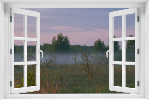 Fototapeta Naklejka Na Ścianę Okno 3D - morning mist over swamp