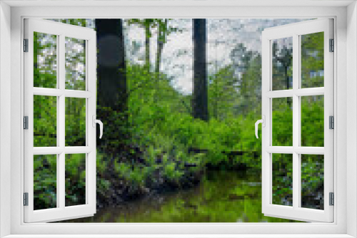 Fototapeta Naklejka Na Ścianę Okno 3D - Leśny strumień płynący przez wysoki, mieszany las.