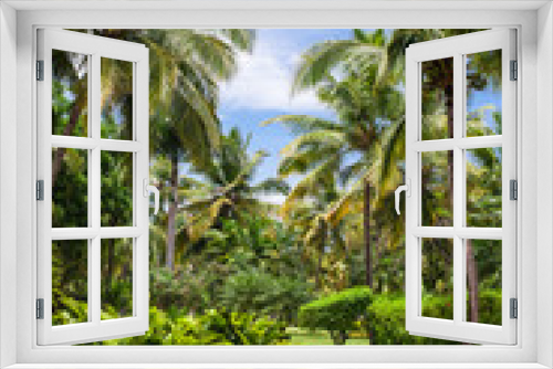Fototapeta Naklejka Na Ścianę Okno 3D - Green exotic garden. dominican republic. Pathway in tropical