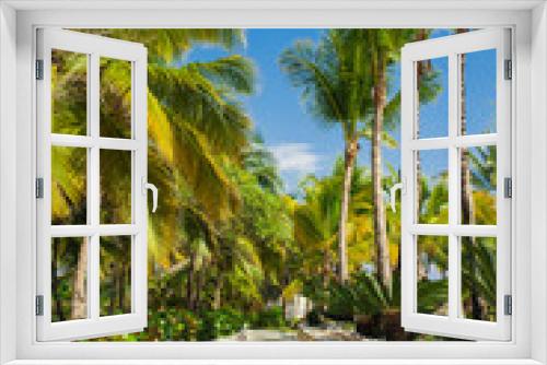 Fototapeta Naklejka Na Ścianę Okno 3D - Green exotic garden. dominican republic. Pathway in tropical