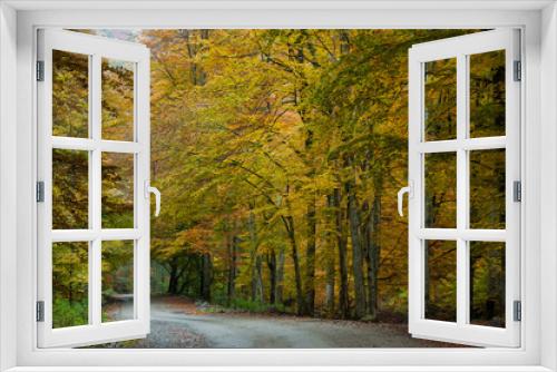 Fototapeta Naklejka Na Ścianę Okno 3D - Autumnal