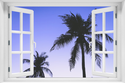 Fototapeta Naklejka Na Ścianę Okno 3D - Silhouette palm tree