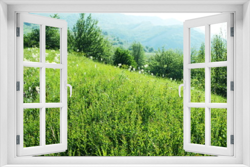 Fototapeta Naklejka Na Ścianę Okno 3D - Meadow