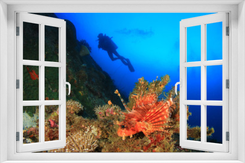 Fototapeta Naklejka Na Ścianę Okno 3D - Lionfish, coral reef and scuba diver