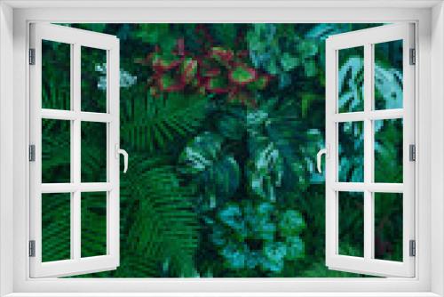 Fototapeta Naklejka Na Ścianę Okno 3D - Full Frame of Green Leaves Pattern Background, Nature Lush Foliage Leaf Texture, tropical leaf.
