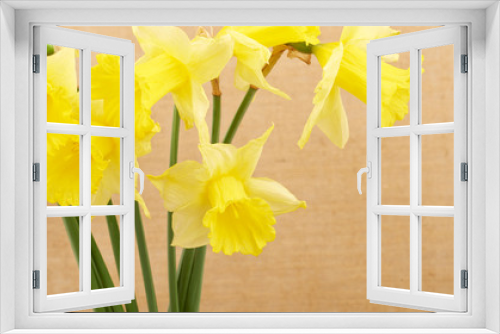 Fototapeta Naklejka Na Ścianę Okno 3D - Bouquet of flowers daffodils