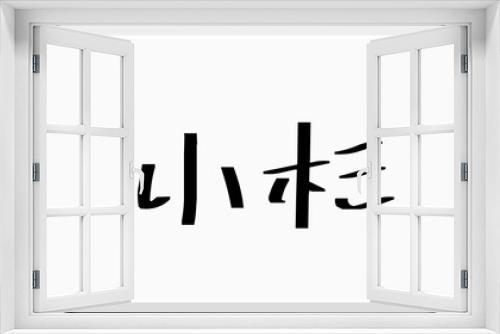 小杉 (日本人の名前・苗字)