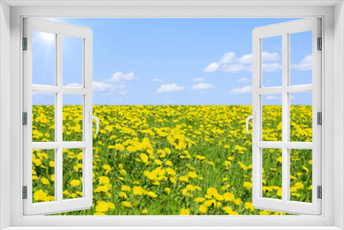 Fototapeta Naklejka Na Ścianę Okno 3D - heavenly meadow
