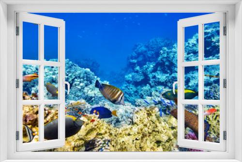 Fototapeta Naklejka Na Ścianę Okno 3D - Underwater world with corals and tropical fish.