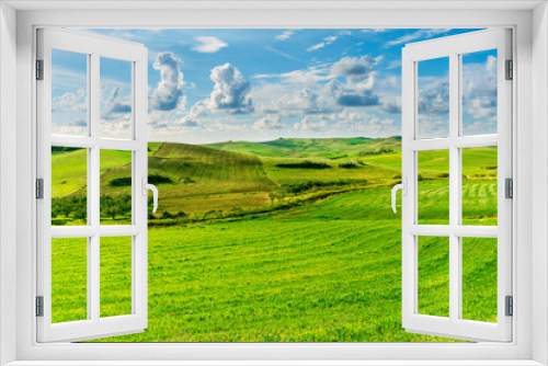 Fototapeta Naklejka Na Ścianę Okno 3D - young spring field on hills of green rustic farmland with grass plants and garden. Countryside green spring or summer season landscape of farm with beautiful blue cloudy sky on background
