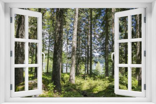 Fototapeta Naklejka Na Ścianę Okno 3D - Waldweg im Sommer