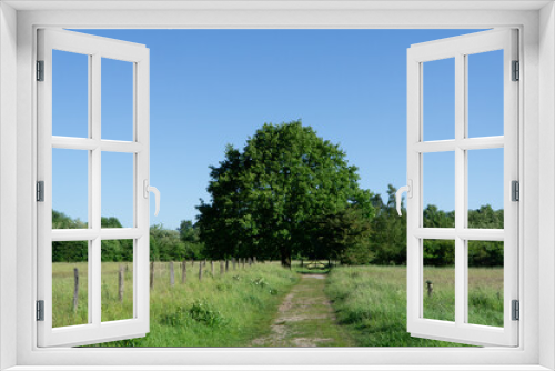 Fototapeta Naklejka Na Ścianę Okno 3D - Region Teutoburger Wald im Frühling