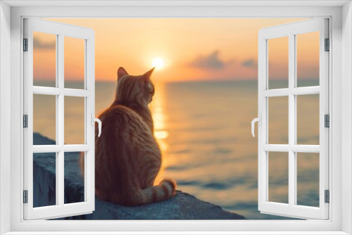 rear view of a cat enjoying the sunset on a summer evening